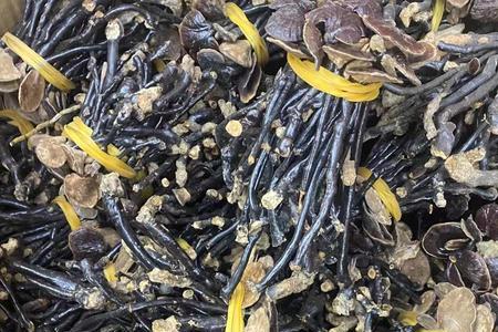 昆明干货批发市场有哪些个