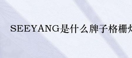yang是哪个国家的品牌