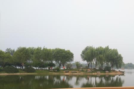 洛阳孔雀岛钓鱼怎么样