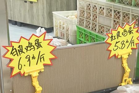 鸡蛋4.5元一斤能挣多少钱