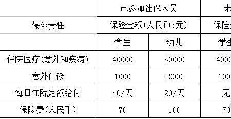 学平险报销范围和额度