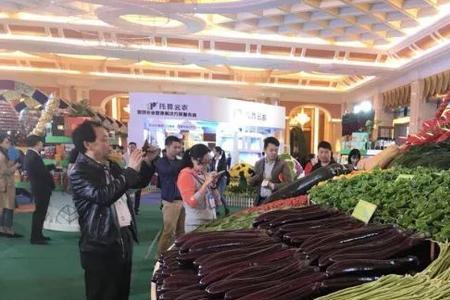 高端农产品有哪些