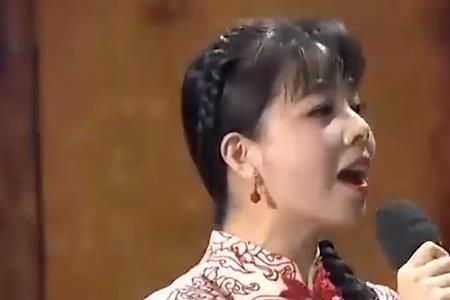 王小妮最好听的十首歌