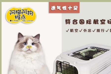 猫包和航空箱哪个实用