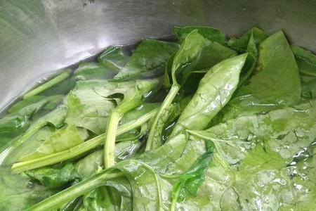 菠菜吊水时间