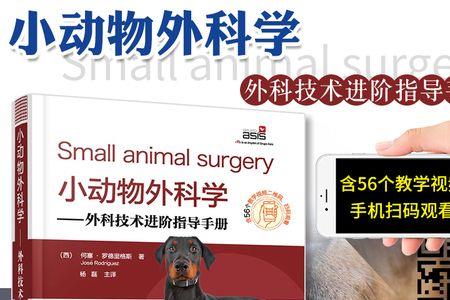动物科学可以当宠物医生吗