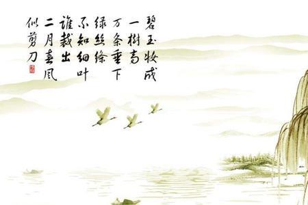 咏柳表达作者对柳树的什么之情