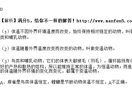 体温恒定的动物