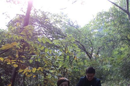 豫汇龙结构胶怎么样