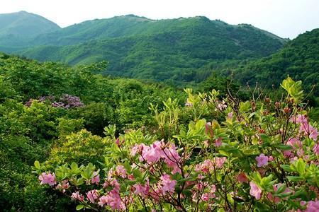 营口赤山风景区现在开放吗