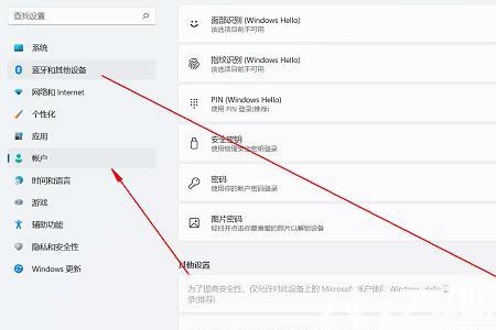 win11设置pin是什么意思