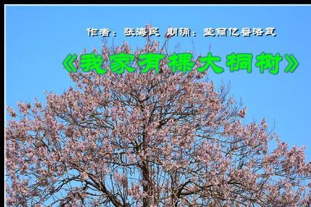 大桐树用什么药杀死
