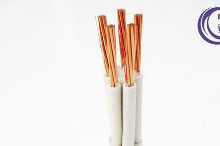DDY是什么意思