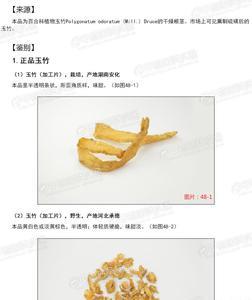 怎样区分大玉竹和小玉竹
