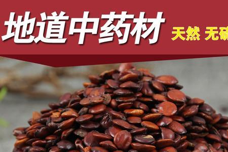 酸枣仁一升等于多少克