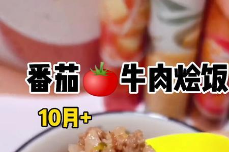 宝宝几岁能吃牛肉末