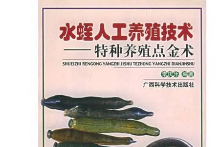刀刮布水蛭养殖如何调水