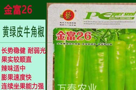 金富175辣椒露天能种植吗