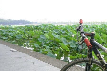 高士特自行车值得买吗