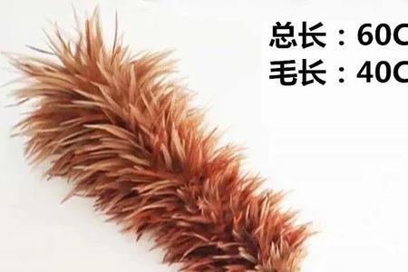 鸡毛掸子和人造毛掸子哪个好用
