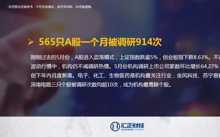 上海汇正是干什么的