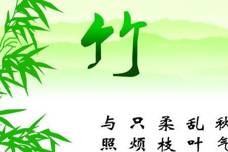 描写竹子的语句50字