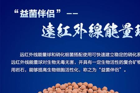 硝化细菌粉末是真的吗