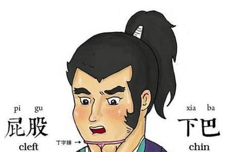 波是什么意思网络用语