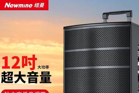 纽曼音响怎么操作为什么没声音