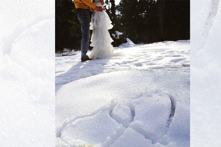 雪中情语