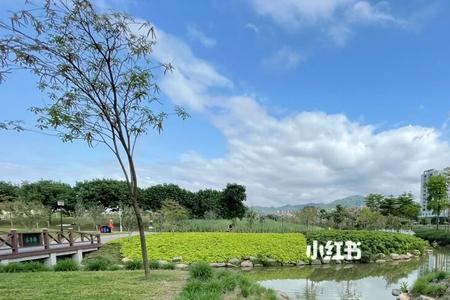 石岩湖湿地公园开放了吗