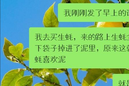 crush是不是单恋