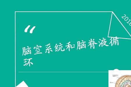 幕上脑室系统介绍