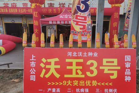沃玉3号和裕丰303玉米哪个更优