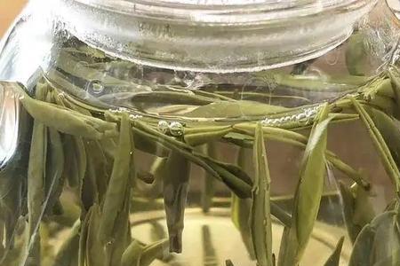 茶叶水里为什么有透明絮状