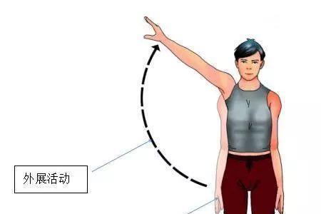明明的肩膀宽约30什么单位