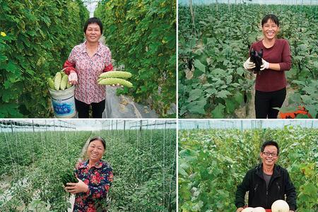 赣州9月份种植什么菜
