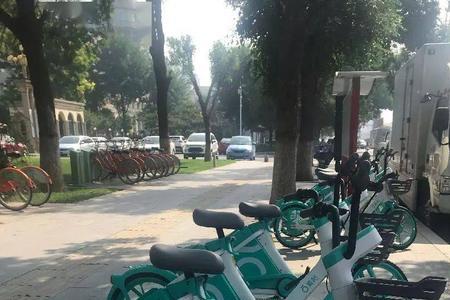 青桔电单车辽宁哪些城市有