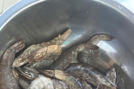 虾姑放冰箱冷冻还能吃吗
