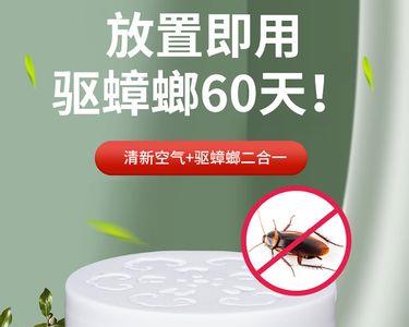 冬青是驱赶蟑螂吗