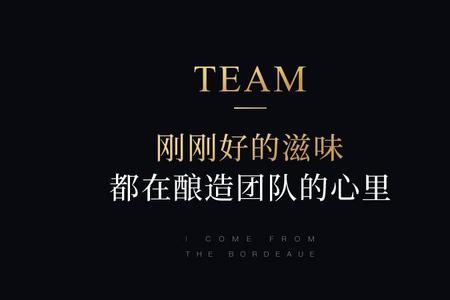 法国八角星干红怎么样