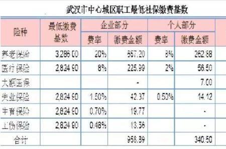 漯河2023灵活就业社保缴费标准