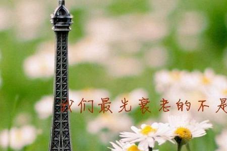 阳光希望励志词语