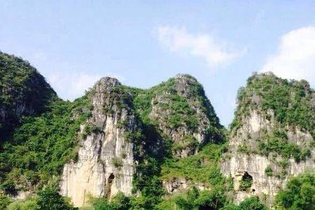 上林下石念什么