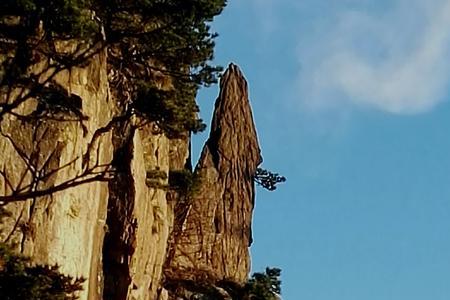 青松不惧山崖陡的下联