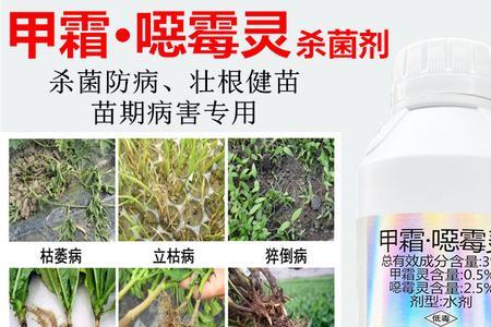 甲霜恶霉灵和多菌灵哪个更好