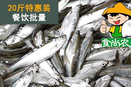 野生白条一年能长多大