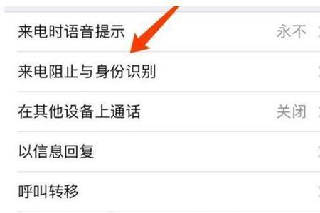 苹果手机怎么查来电记录