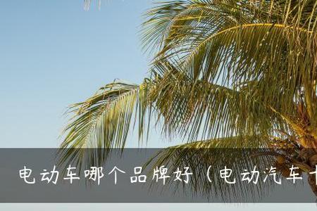 阿维达汽车是哪个品牌