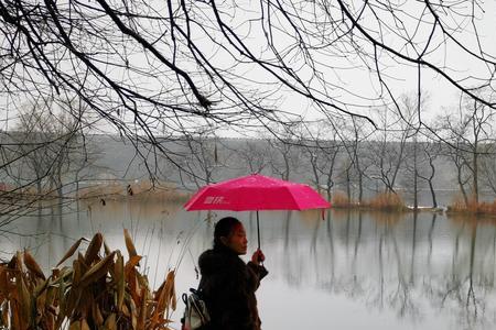 宁静恬淡是什么意思